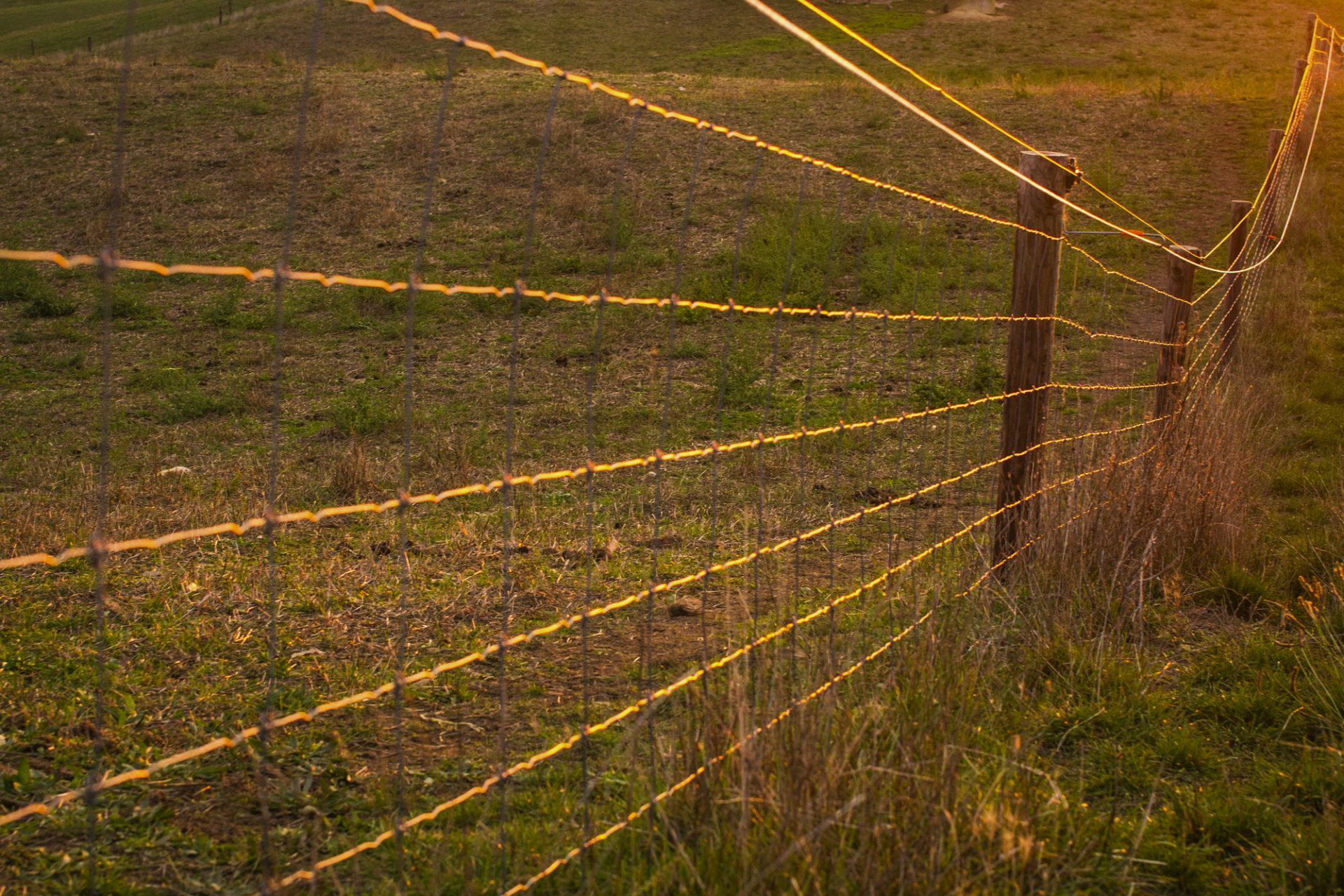Build an Electric Fence for Bears
