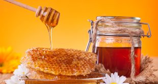 Harvest Honey Without an Extractor