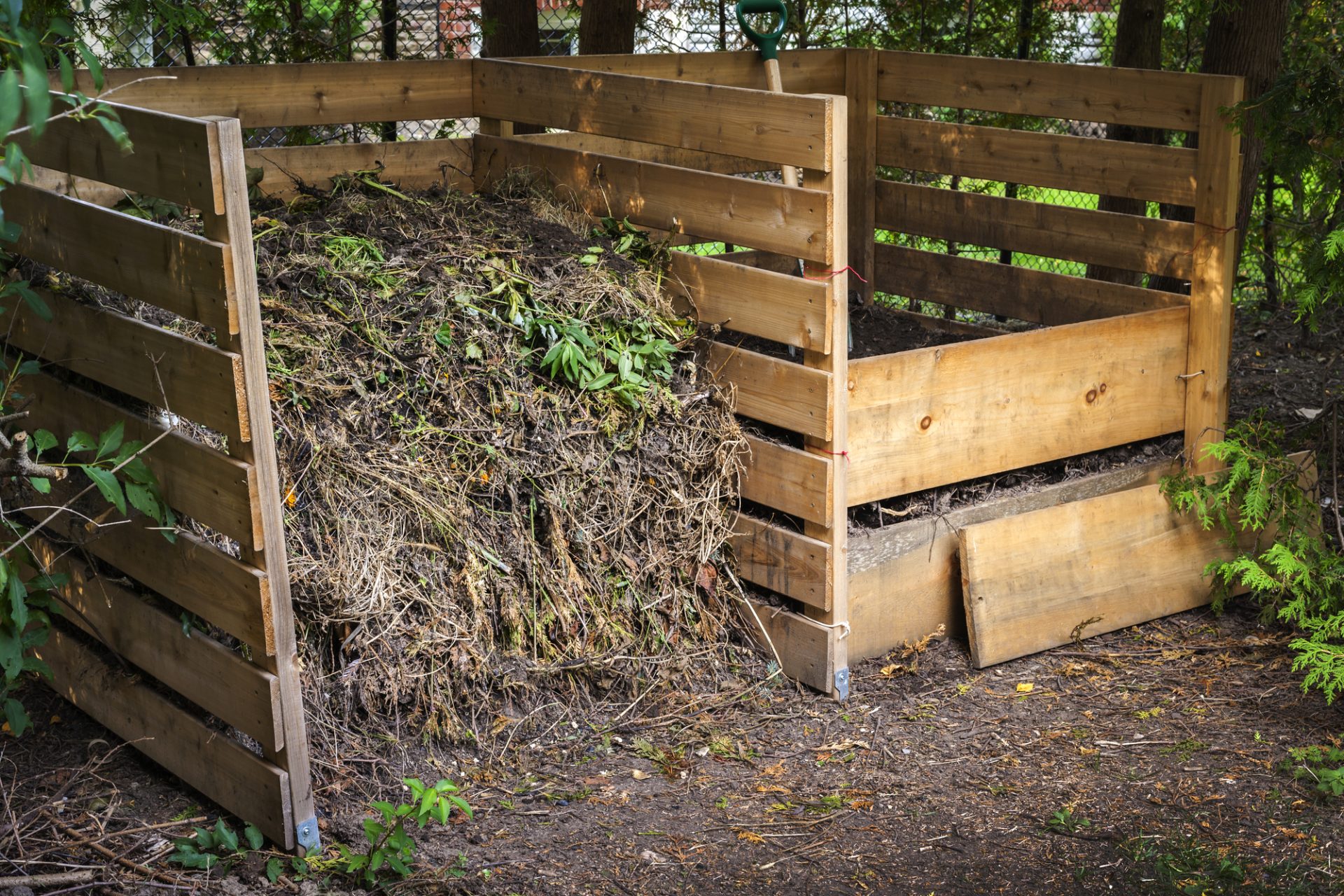 Does Compost Attract Bees