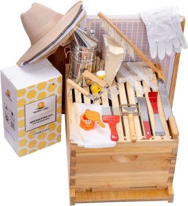 Best Beekeeping Starter Kits - Honey Lake 8-Frame Beehive and Supplies Starter Kit