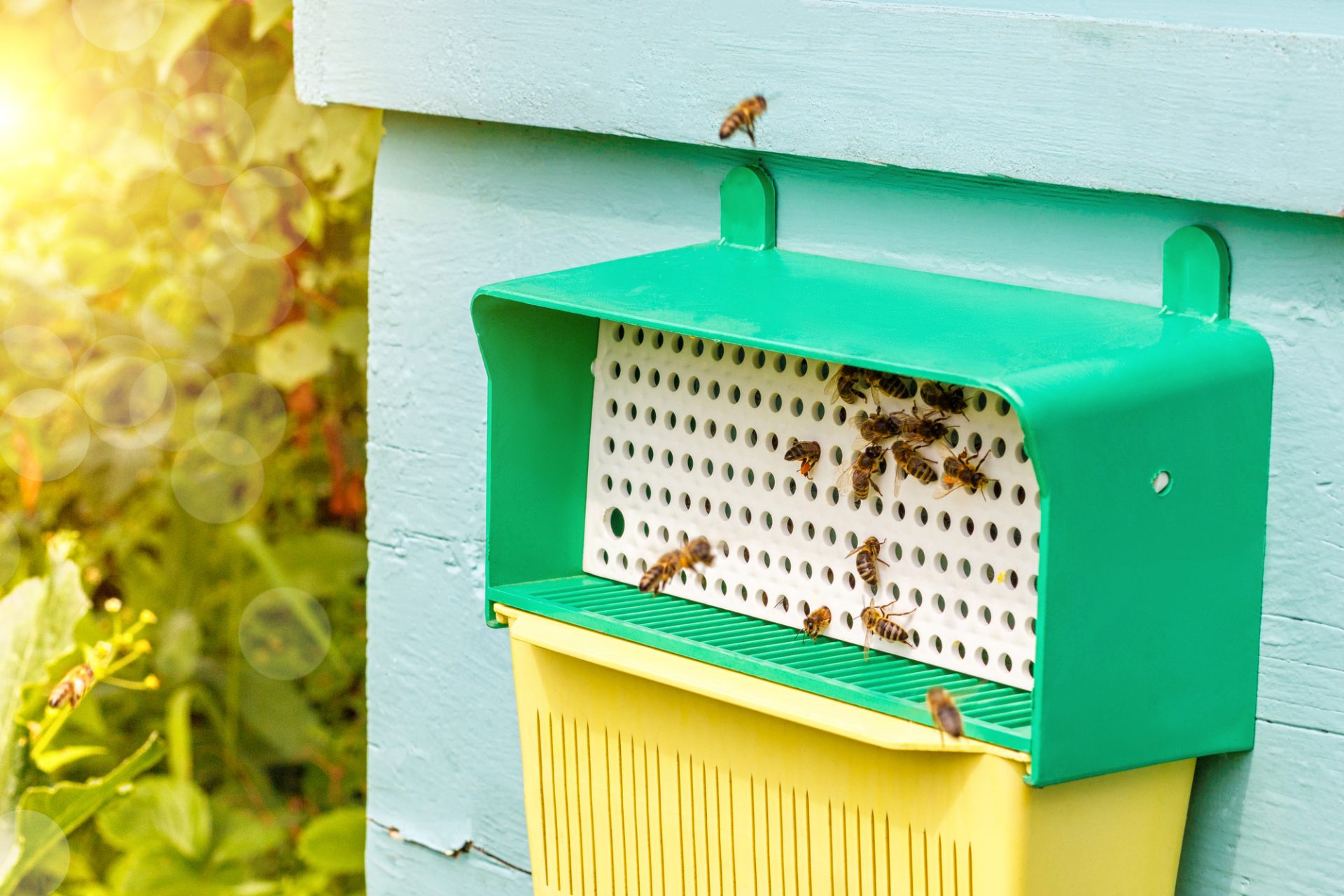 How to Build a Langstroth Beehive - Pollen Trap