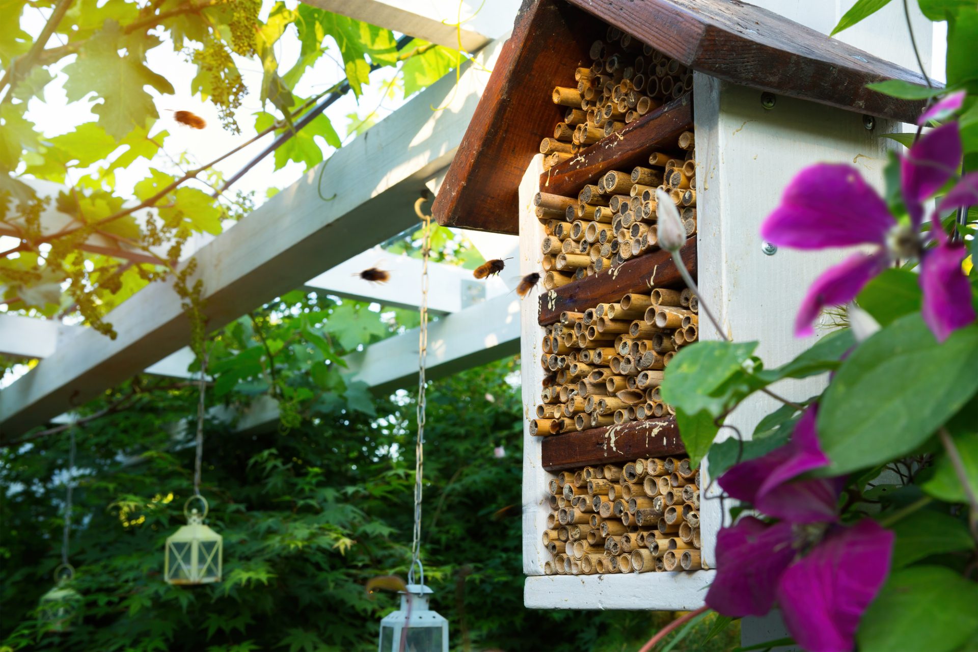 Clean a Mason Bee House