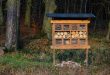 Raise Wild Bees - Insect Hotel for Wild Bees
