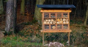 Raise Wild Bees - Insect Hotel for Wild Bees