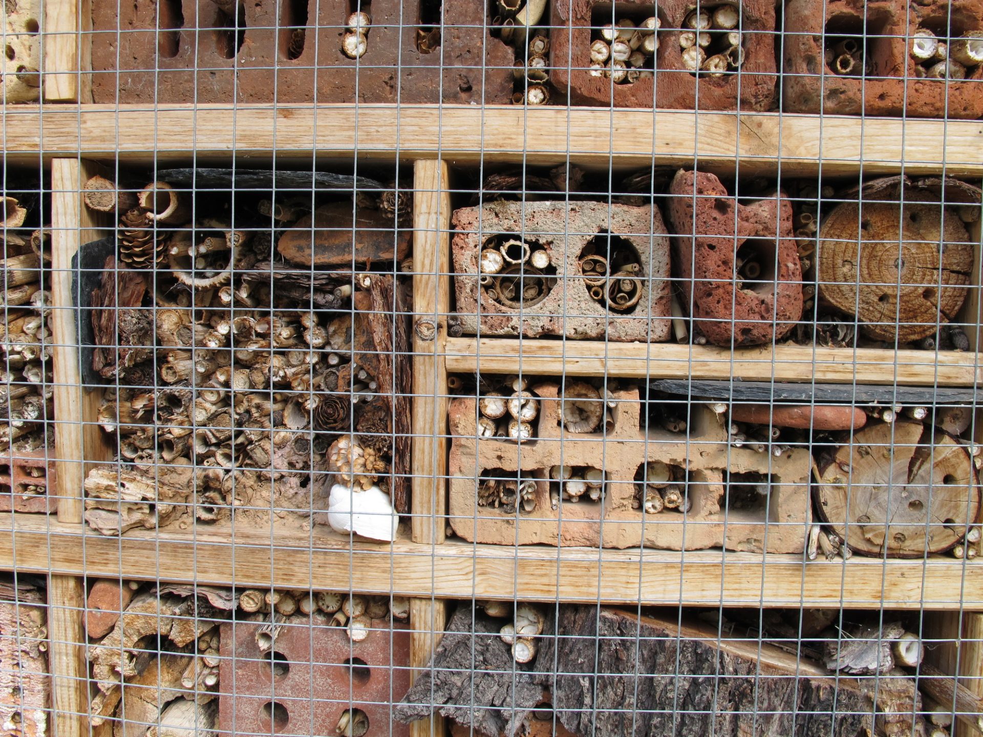 Raise Wild Bees - Wild Bee Hotel