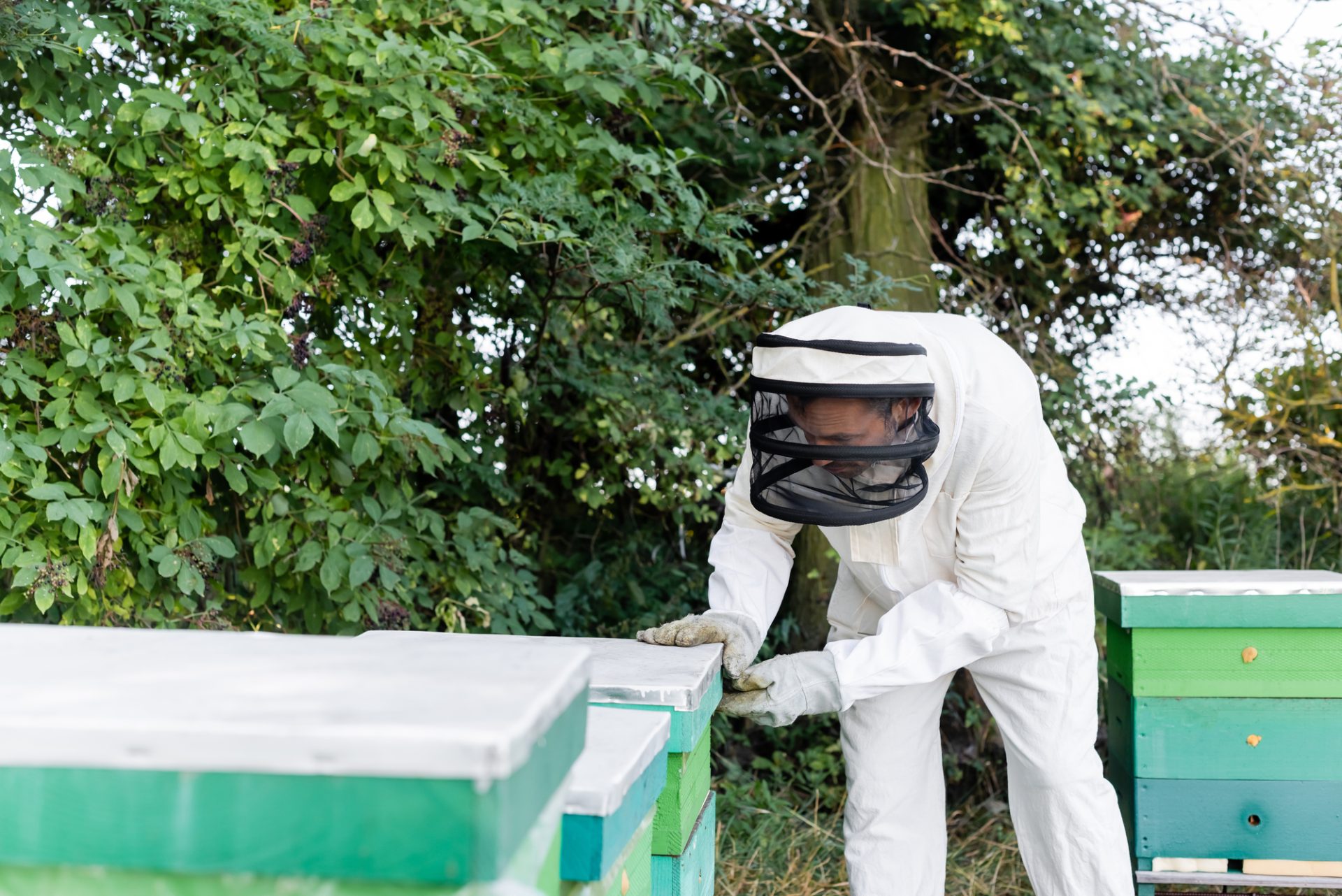 Integrated Pest Management - Honeybee Stressors