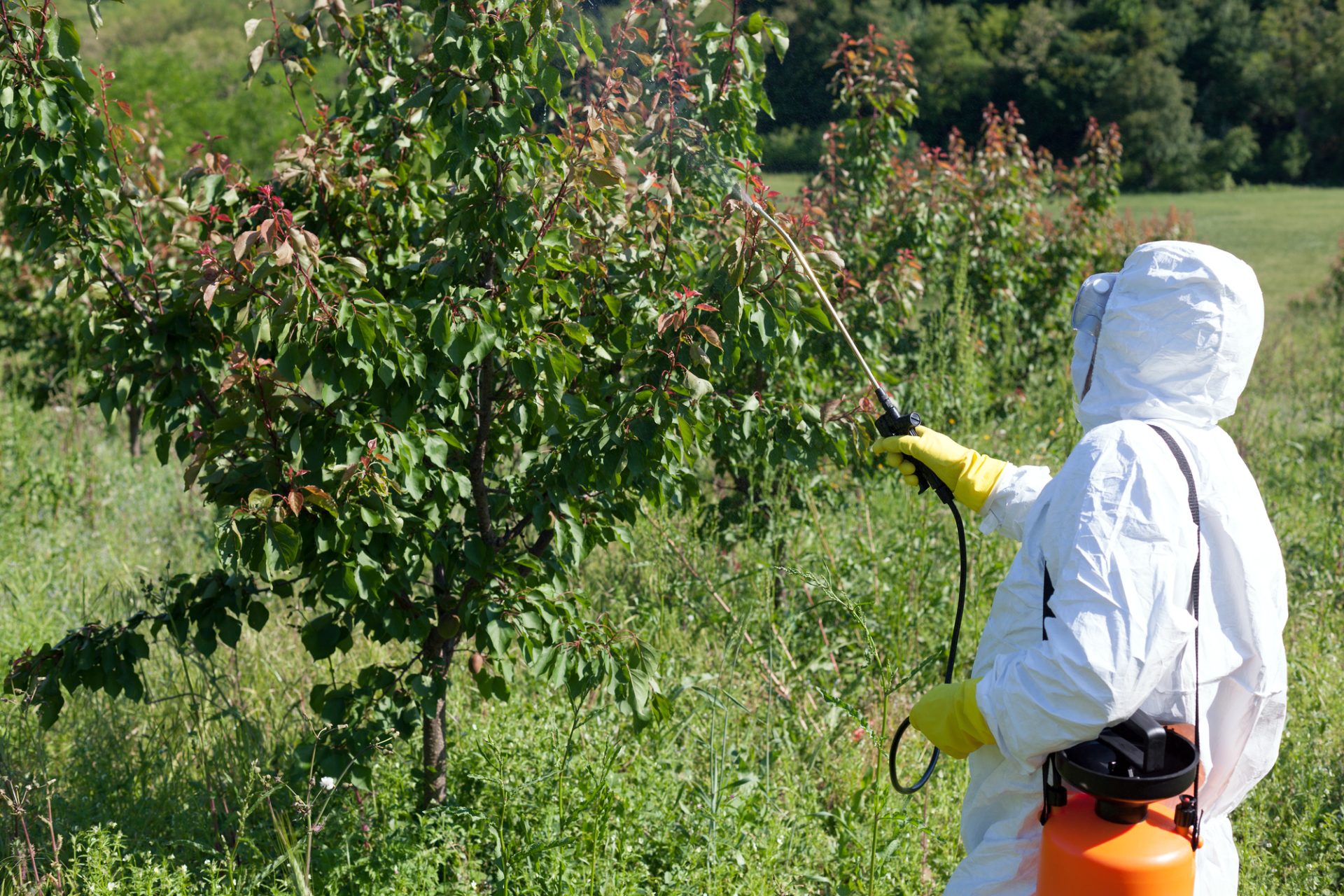 Pesticide Alternatives - Exposure to Pesticides and Health Effects