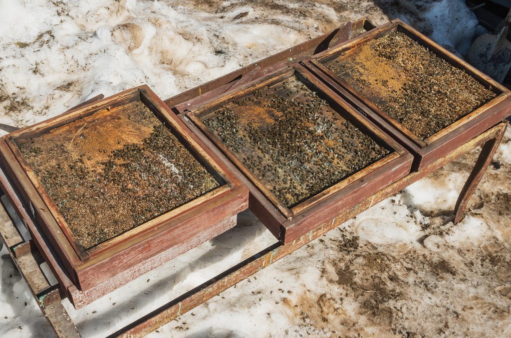 Causes and Effects of Colony Collapse Disorder