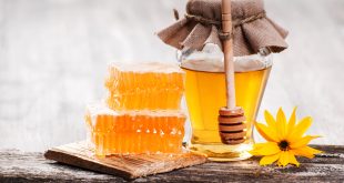 Facts About Honey