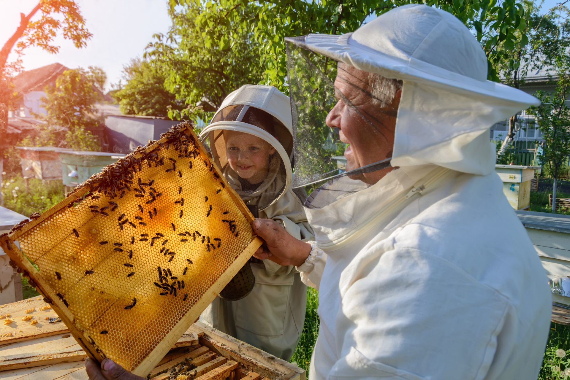 How Profitable is Beekeeping - Learning Beekeeping