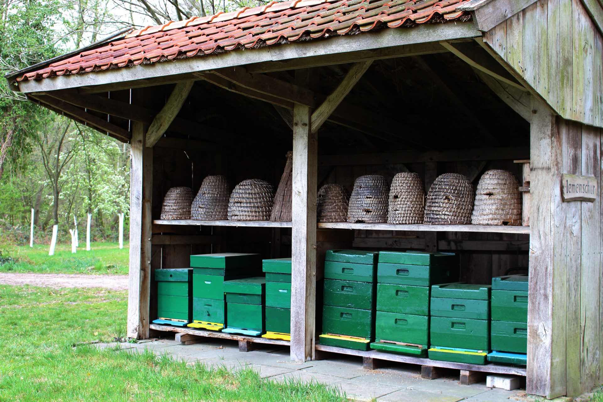 Medieval Beekeeping – A Glance Into the Historical past of Beekeeping