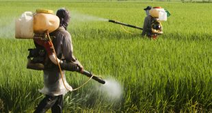 Pesticide Alternatives