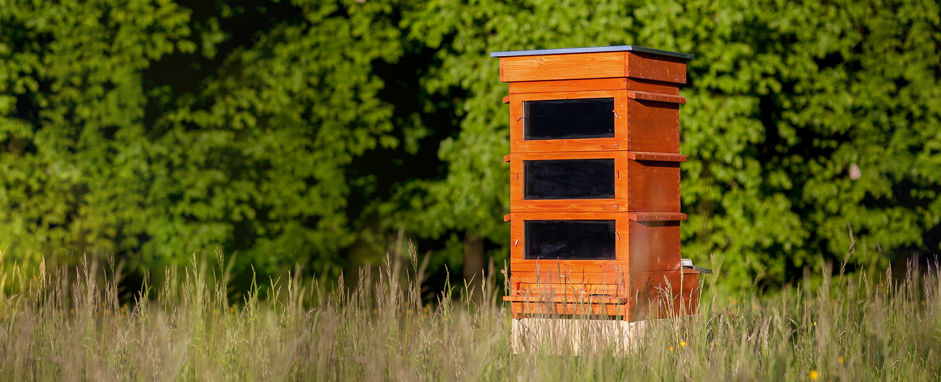 Thermosolar Hive