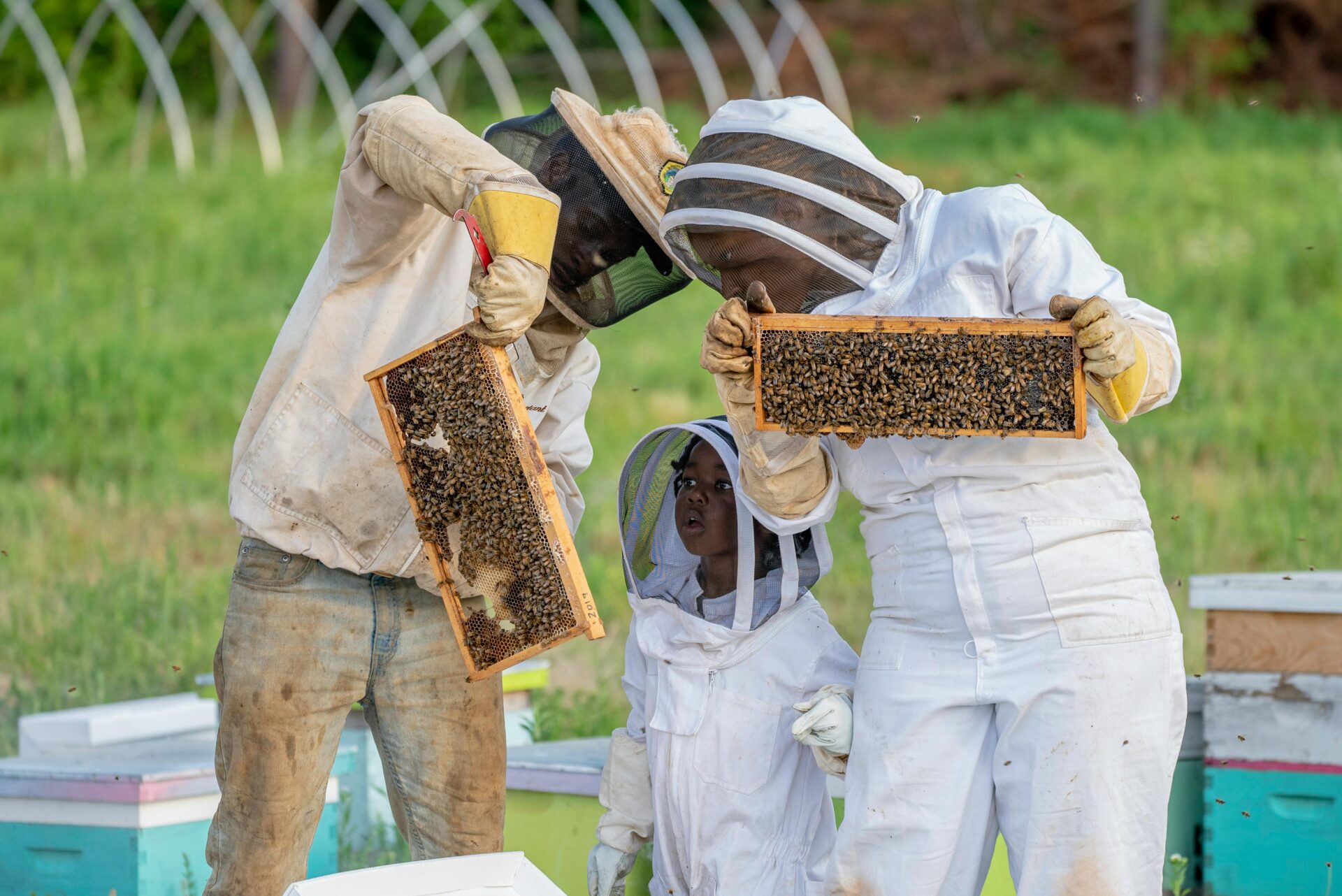 Lend a hand Your Kid Get started a Honeybee-Based totally Trade With Those Guidelines